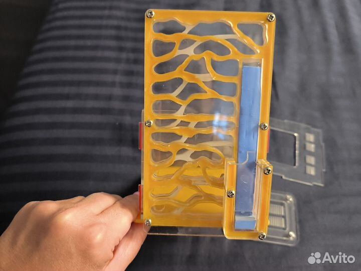 Муравьиная ферма новая