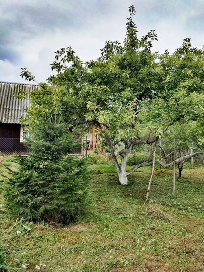 Дом 32 м² на участке 7,6 сот.