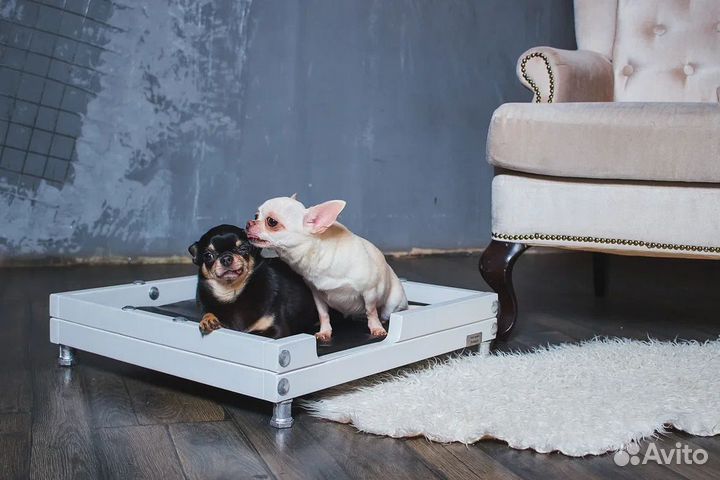 Лежанка для собак и кошек / Домик для собак