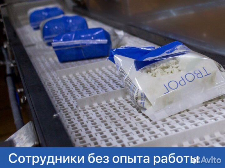 Сотрудник на производство/ежедневные выплаты