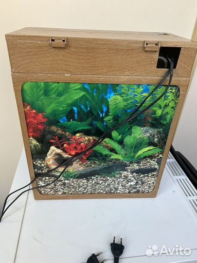 Аквариум