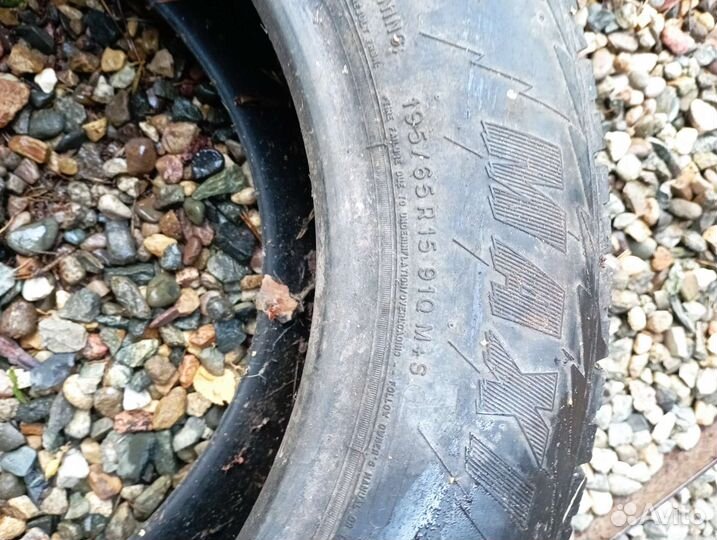 Michelin Maxi Ice 195/65 R15 93T