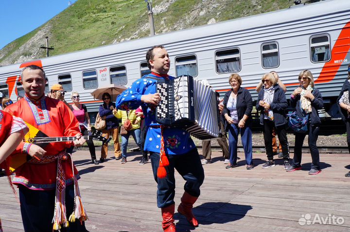 Баянист на праздник