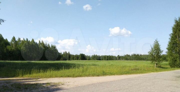 Участок 12,4 сот. (СНТ, ДНП)