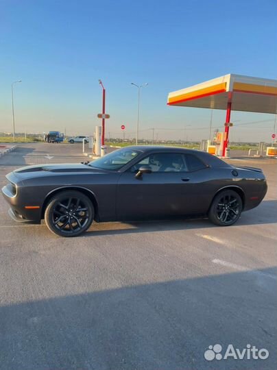 Dodge Challenger 3.6 AT, 2021, 53 000 км