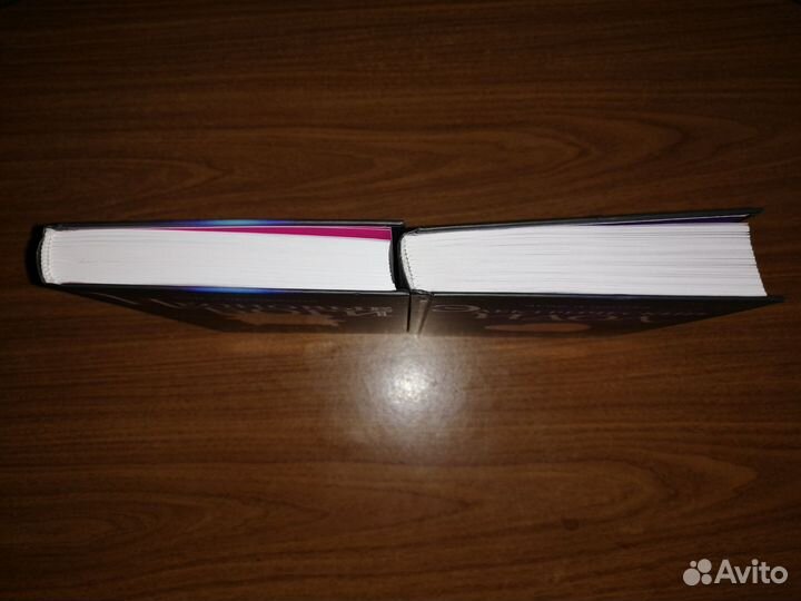 Кэти Роберт. Неоновые боги Электрический идол