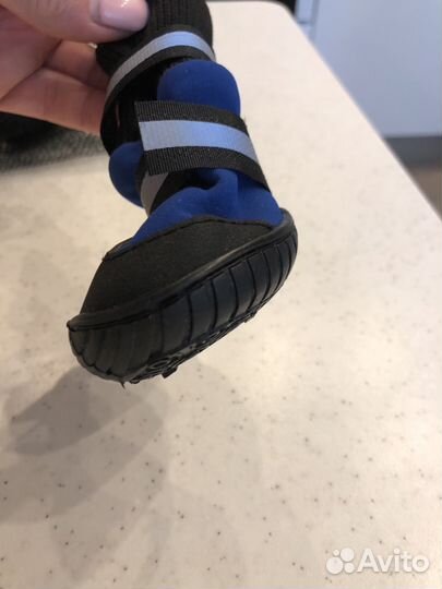 Сапожки для собак