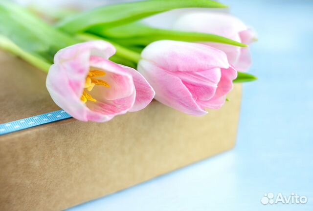 Фото и видео маркетплейсы, предметный фотограф