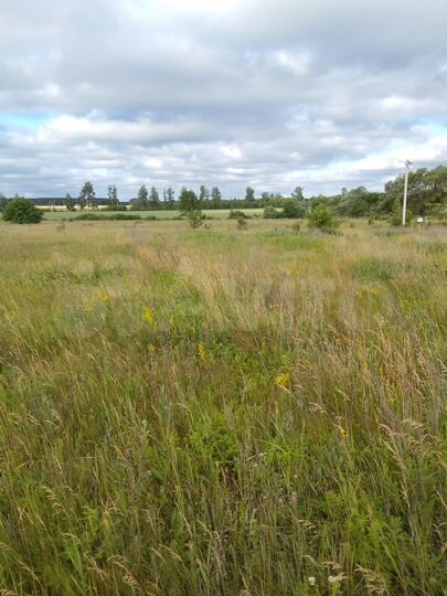 Участок 16 сот. (ИЖС)