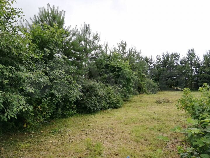 Участок 15 сот. (СНТ, ДНП)