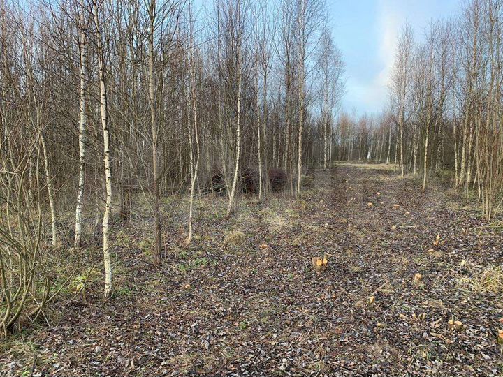 Участок 2 га (СНТ, ДНП)