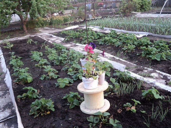 Дача 20 м² на участке 5 сот.