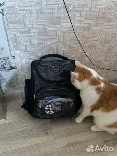 Рюкзак для мальчика с 1 по 3 класс