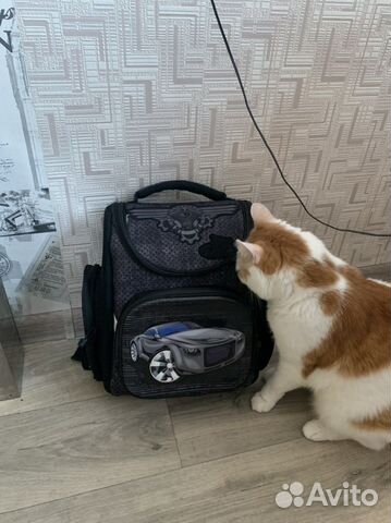 Рюкзак для мальчика с 1 по 3 класс