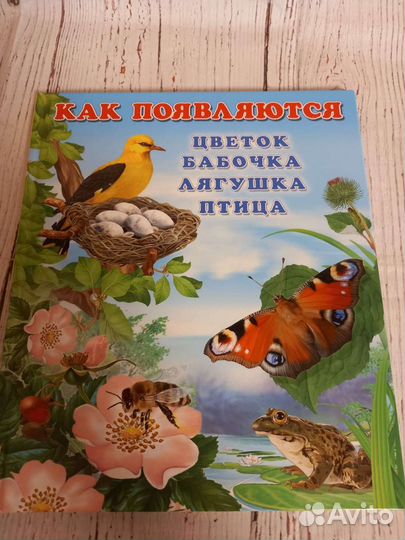 Развивающие книги в отличном состоянии