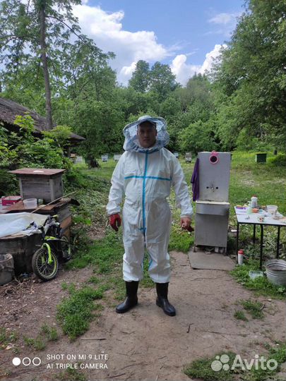 Мед урожай 2023