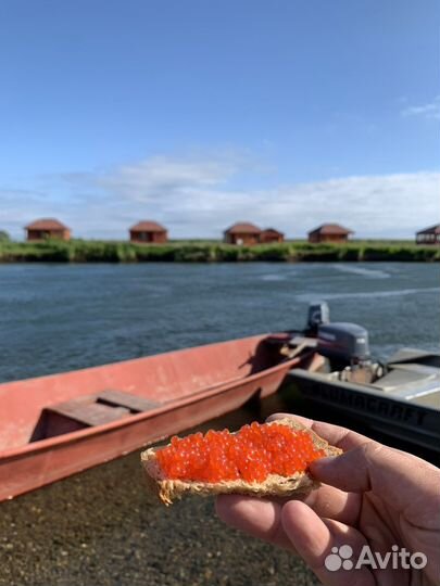 Турбаза рыбалка на камчатке Горбуша, нерка, кета