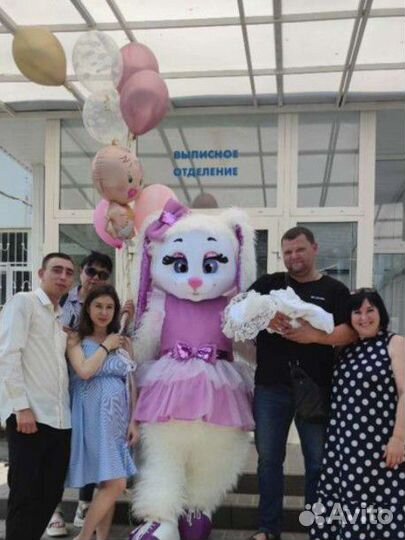 Ростовая кукла,мишка, зайка, котик. Поздравление