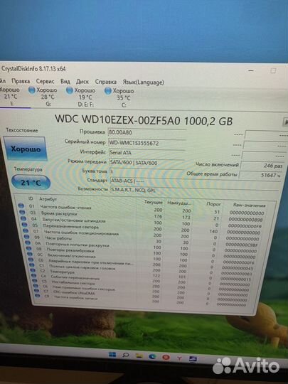 Жесткий диск 1 тб