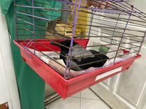 авито сестрорецк доска объявлений. санкт-петербург курортный р-н сестрорецк ул борисова 9к2. авито сестрорецк недвижимость. солнечное, колхозная 17. 2 линия 9 сестрорецк дача.