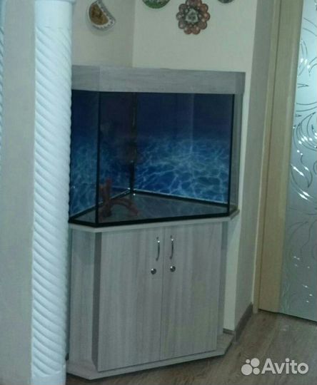 Изготавливаем аквариумы, террариумы, тумбы