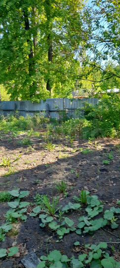 Дом 36 м² на участке 18 сот.