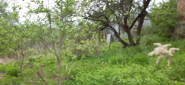 Дача 34 м² на участке 5,3 сот.