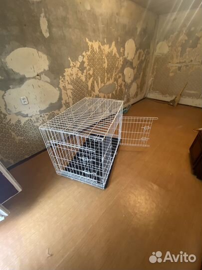 Складная Клетка вольер для животных (собак,котов)