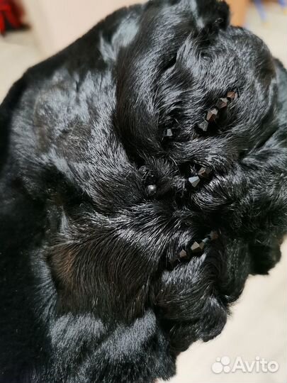 Берет мутоновый женский