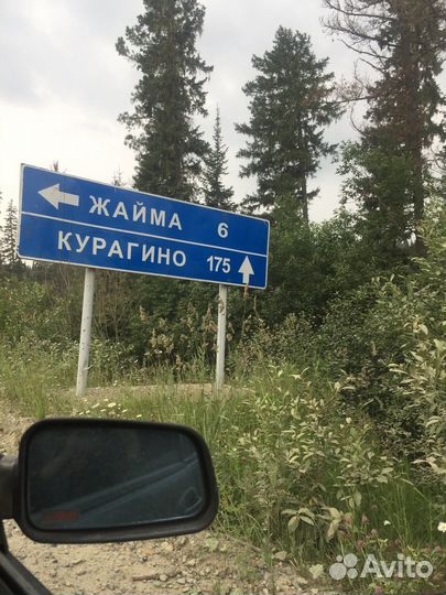 Исландский мох