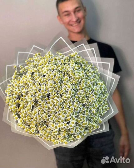 Ромашки букет