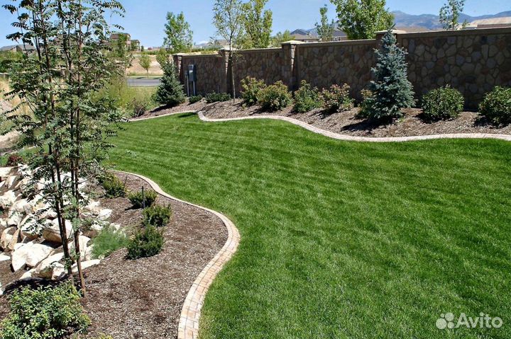 Теневыносливый рулонный газон. Укладка с гарантией