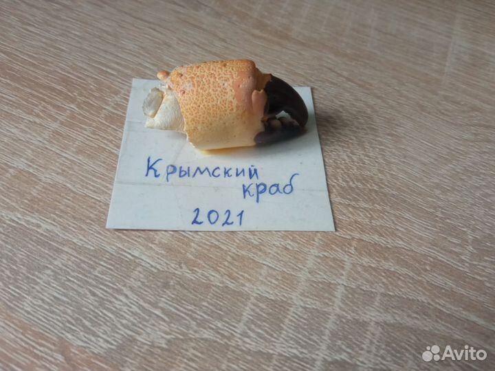 Клешня краба
