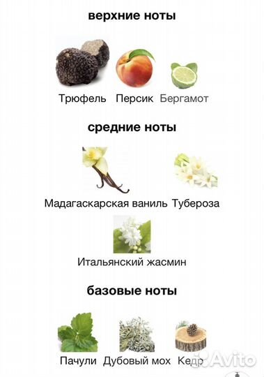 Распив 5 мл Valentina Assoluto Valentino