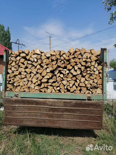 Дрова дубовые