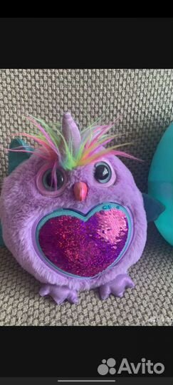 Сова Rainbocorns