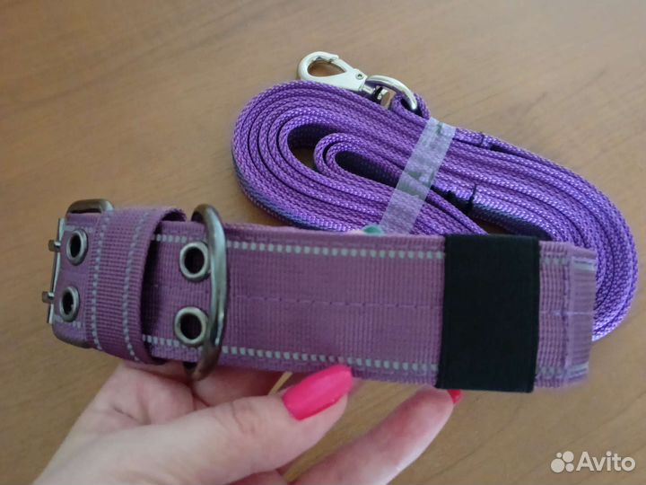 Ошейник+поводок
