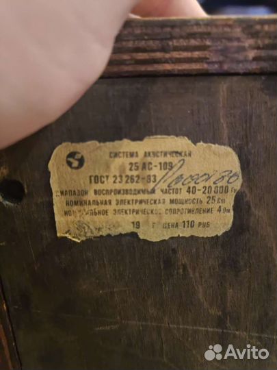 Колонки Вега 25 ас-109