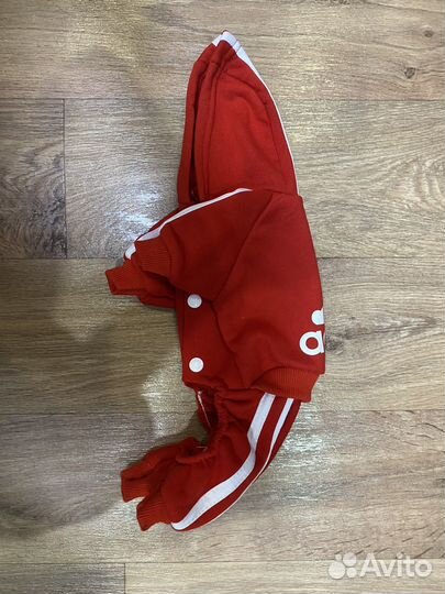 Костюм для собаки