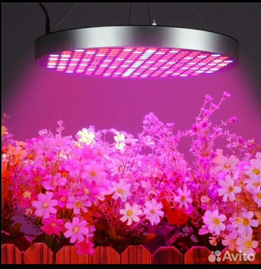 Фитолампа 100W