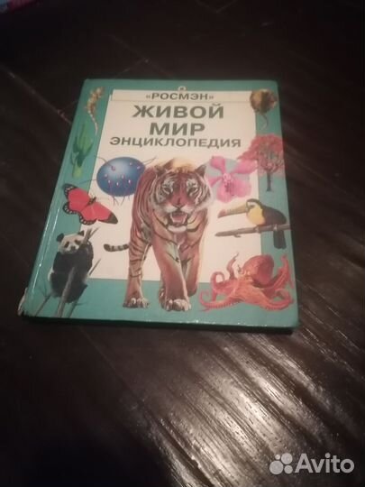 Познавательные книги