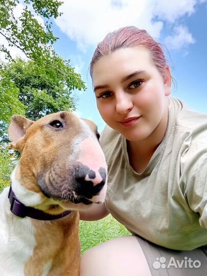 Передержка животных