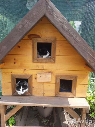 Будка для кошки