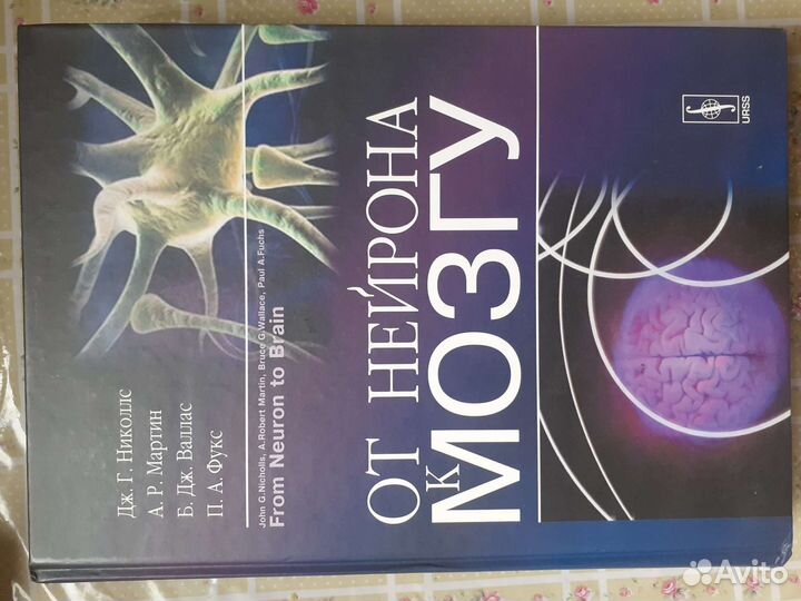 От нейрона к мозгу
