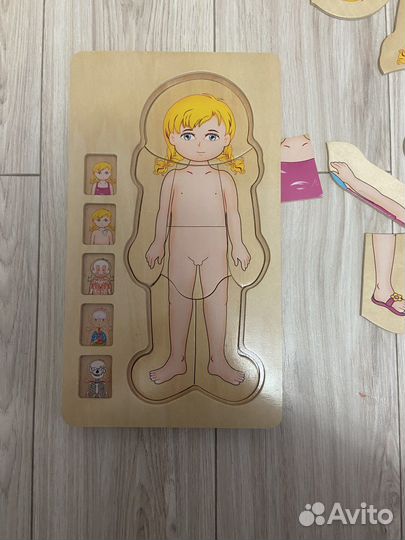 Пазл строение человека