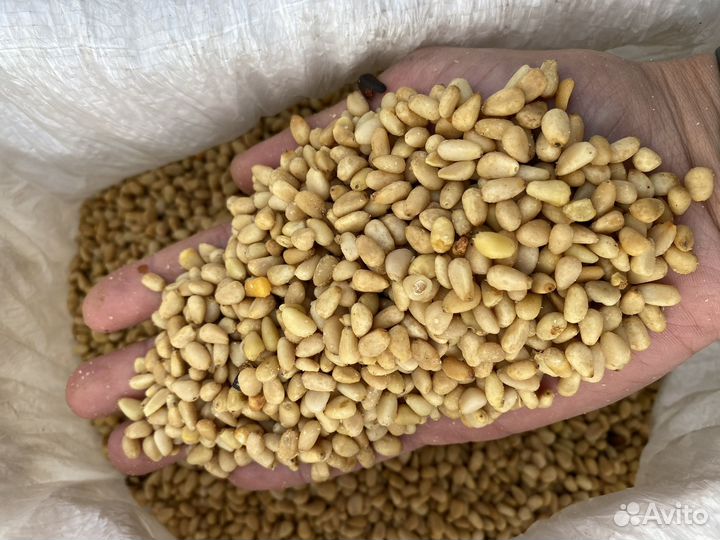 Ядро кедрового ореха, 2 сорт