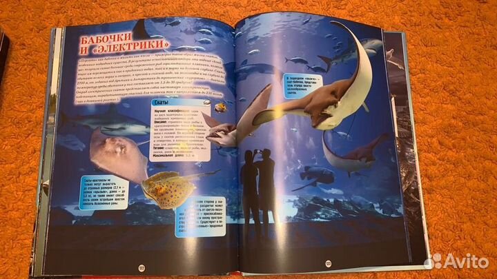 Энциклопедии, деятели, басни, сказки, рассказы