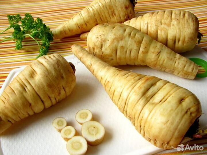 Пастернак сушеный корни