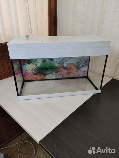 Аквариум 50 литров
