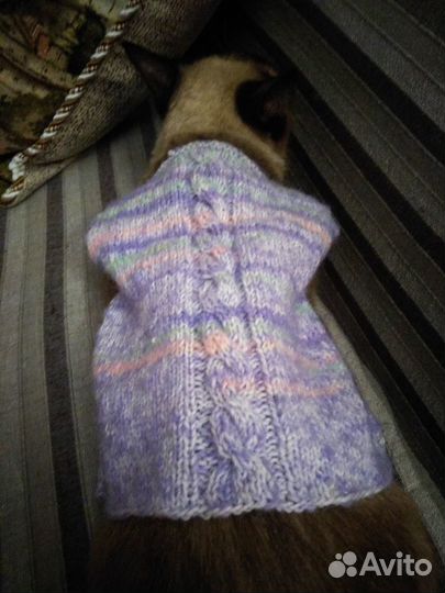 Жилет для кошки/собачки